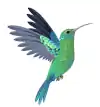 C'est un oiseau et plus précisément un colibri qui est le symbole de la liberté.