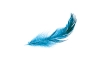 C'est une plume bleue qui fait référence à la légèreté que l'on ressent physiquement et mentalement en perdant du poids.